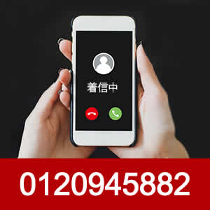0120945882